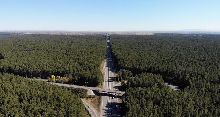 Дорога