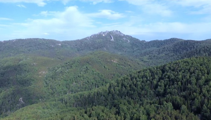 Гора Синюха (Алтайский край)