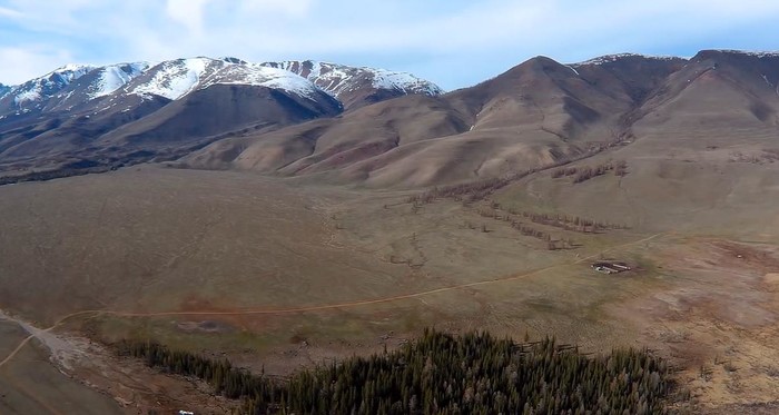 Курайская степь