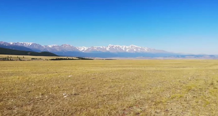 Курайская степь