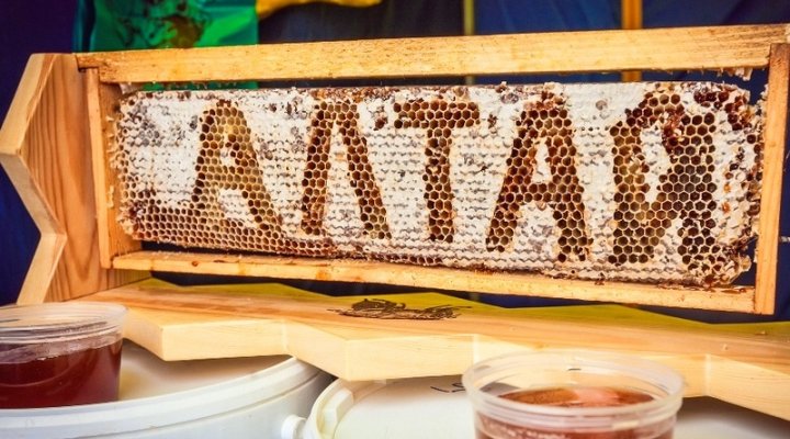 Мёд из Горного Алтая