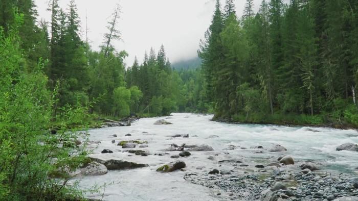 Реки Алтая