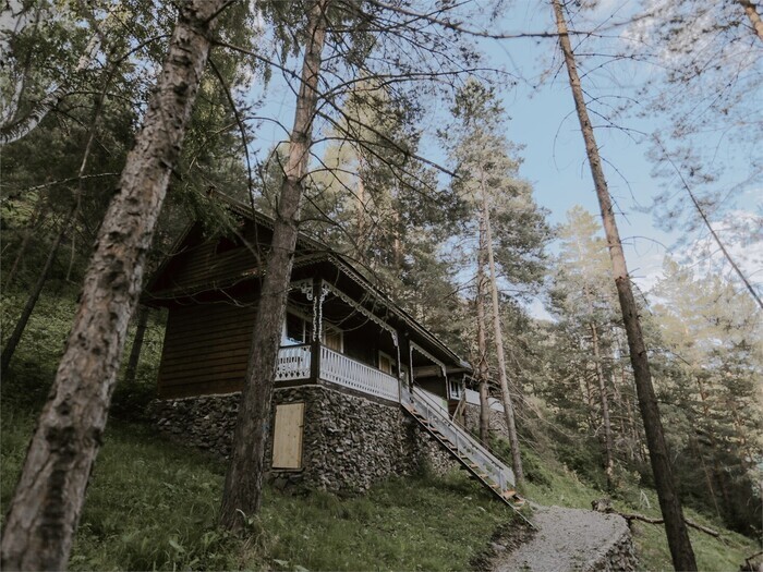 taezhnik 27