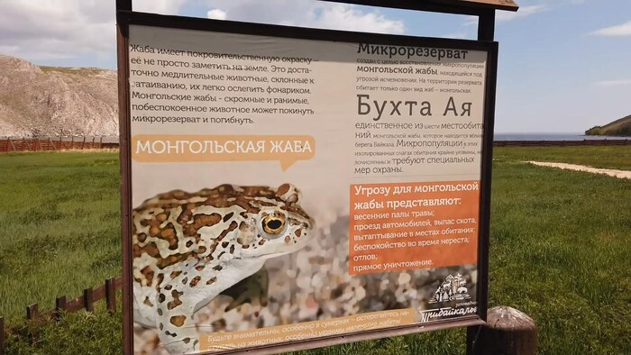 Бухта Аяя